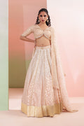 Gulnaar Lehenga Set