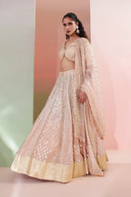 Gulnaar Lehenga Set