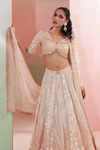 Gulnaar Lehenga Set