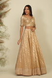 Golden Chanderi Lehenga Set