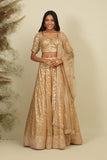 Golden Chanderi Lehenga Set