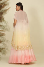 Enchanted Pastel Symphony Ensemble