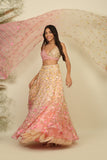 Whispering Petals : The Enchanting Bridal Lehenga