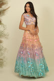 Colourburst Charm : The Unique Multicolored Lehenga