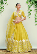 Sheen Green Pure Raw Silk Lehenga Set