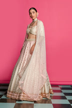 Rose Royal Ombre Dyed Lehenga Set