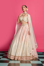 Rose Royal Ombre Dyed Lehenga Set
