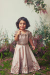 Rose Gold Embroidered  Gown For Girls