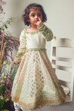Ivory & Mint Green Embroidered Chanderi Gown For Girls