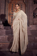 Golden Splendor Dabka Saree Set