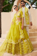 Sheen Green Pure Raw Silk Lehenga Set