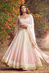 Lilac Ombre Dyed Lehenga Set