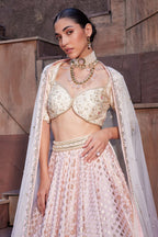 Rose Royal Ombre Dyed Lehenga Set