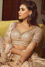 Champagne Chanderi Lehenga Set