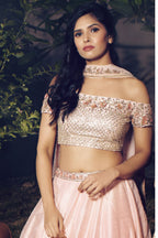 Misty Rose Embroidered Lehenga Set