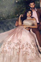 Misty Rose Embroidered Lehenga Set