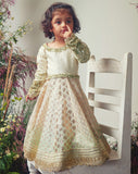 Ivory & Mint Green Embroidered Chanderi Gown For Girls