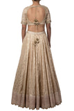 Gold Champagne Chanderi Lehenga with Backless Blouse