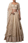 Champagne Chanderi Lehenga with Tulip Neck Blouse and embroidered Dupatta