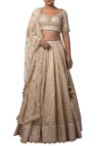 Champagne Chanderi Lehenga with Tulip Neck Blouse and embroidered Dupatta