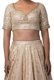 Champagne Chanderi Tulip Neck Blouse and Lehenga