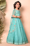 Turquoise Blue sequins embroidered Lehenga Set