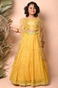 Yellow Sequins Embroidered Lehenga Set