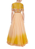 Peach and Yellow Embroidered Crop Top and Skirt
