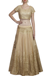 Gold Gota Patti Lehenga Choli and Dupptta Full image