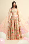 Ivory Printed & Embroidered Lehenga Set