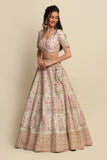 Blush Pink Hand Embroidered Bridal Lehenga set