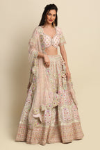 Blush Pink Hand Embroidered Bridal Lehenga Set