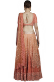 Ombre Dyed blouse backless and Rawsilk Lehenga with beautiful Lathkan and Embroidered Dupatta back look