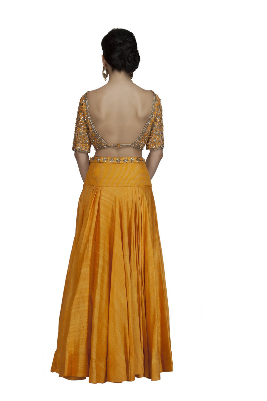 Orange Backless Embroidered Crop Top and Skirt Back look