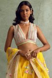 Yellow Multicolured Embroidered Lehenga Set