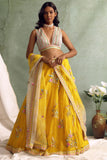 Yellow Multicolured Embroidered Lehenga Set