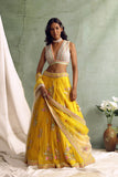 Yellow Multicolured Embroidered Lehenga Set