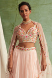 Blush pink Embroidered crop top and Skirt Set