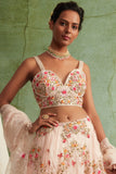 Blush Pink Heavy Embroidered Lehenga Set