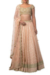 Dark Peach Color Raw Silk Lehenga Choli and Dupatta Set